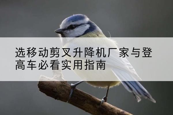 长岭电动升降机厂家-选移动剪叉升降机厂家与登高车必看实用指南
