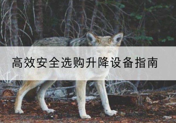 长岭升降货梯厂家推荐-*安全选购升降设备指南
