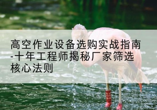 长岭剪叉式升降机厂家-高空作业设备选购实战指南-十年工程师揭秘厂家筛选核心法则